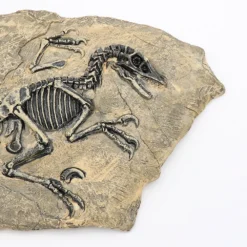 Life Easy Supply Antique Resin Dinosaur Fossil Wall Hanging Decoration Other Products