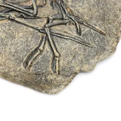 Life Easy Supply Antique Resin Dinosaur Fossil Wall Hanging Decoration Other Products