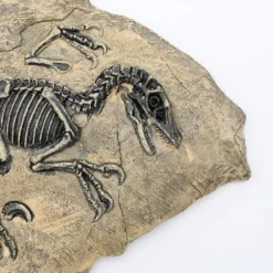 Life Easy Supply Antique Resin Dinosaur Fossil Wall Hanging Decoration Other Products